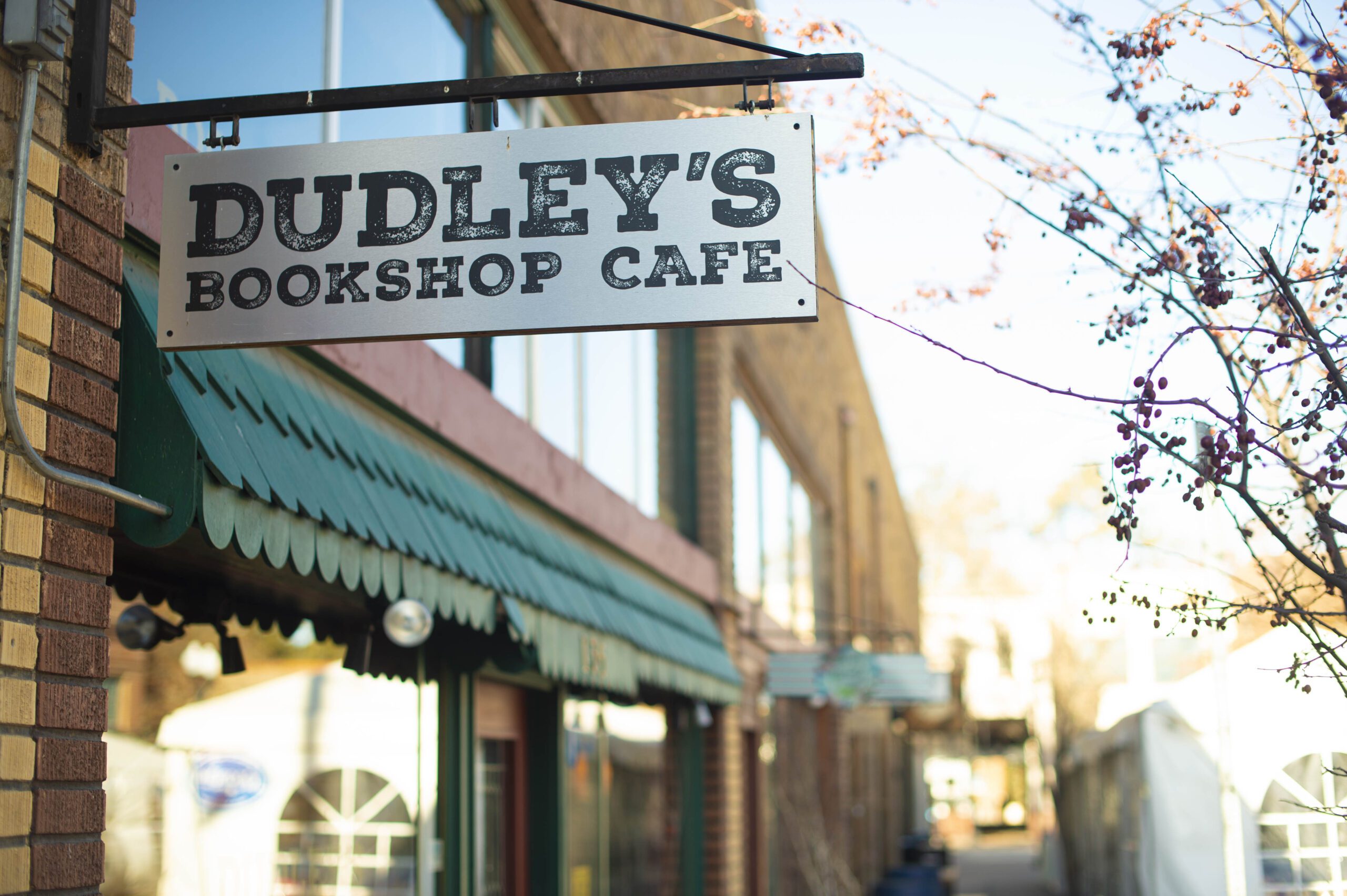 Dudley's Bookshop-Outside Sign resized strategy-business-plan-development
